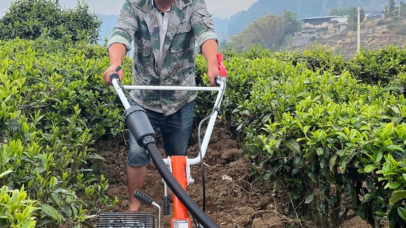 猪场清粪机：型号规格解析与选购要点