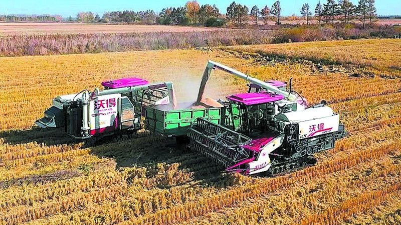 农田灌溉喷头安装流程详解：关键步骤与注意事项