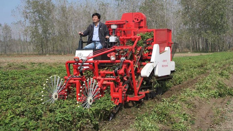 林业果园两用弥雾机：如何选型，关注哪些关键指标**